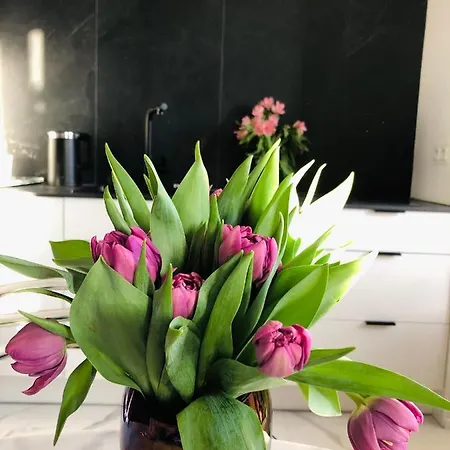 Piper Dworzec & Targi * Poznań