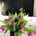 Piper Dworzec & Targi * Poznan