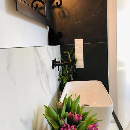 Piper Dworzec & Targi Appartement *