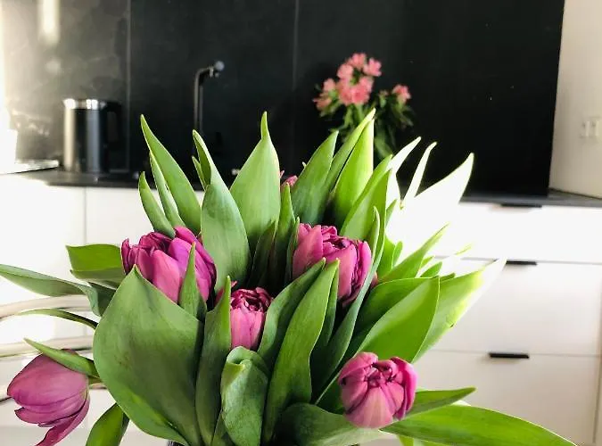 Piper Dworzec & Targi * Poznan